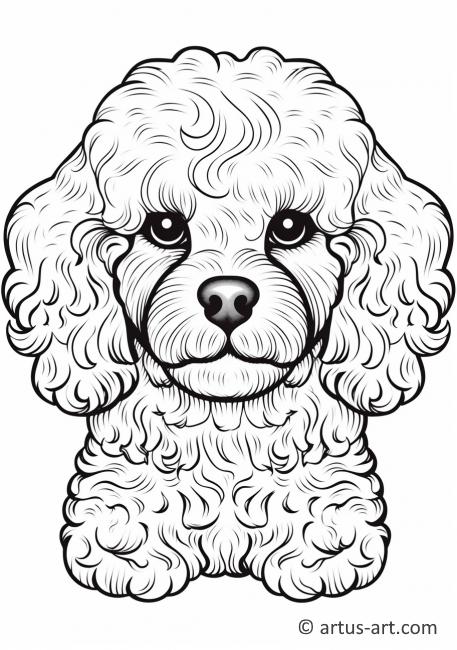 Poodle Coloring Page For Kids